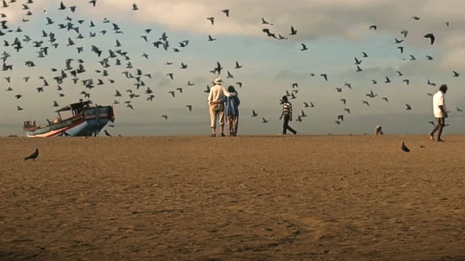 Romantic Road backdrop