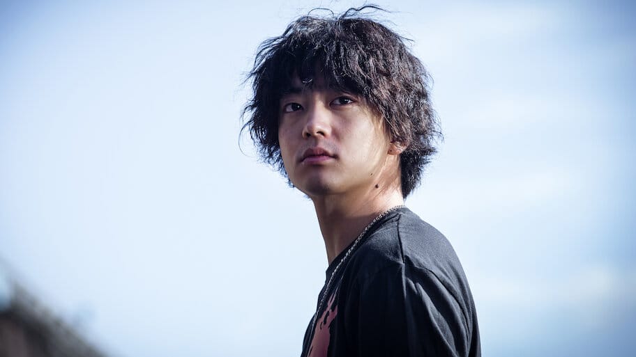 A Winter Rose backdrop