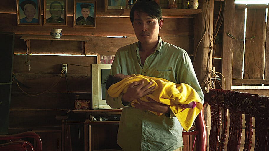 Inside the Yellow Cocoon Shell backdrop