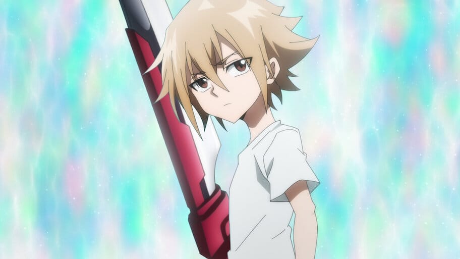 Shaman King Flowers backdrop