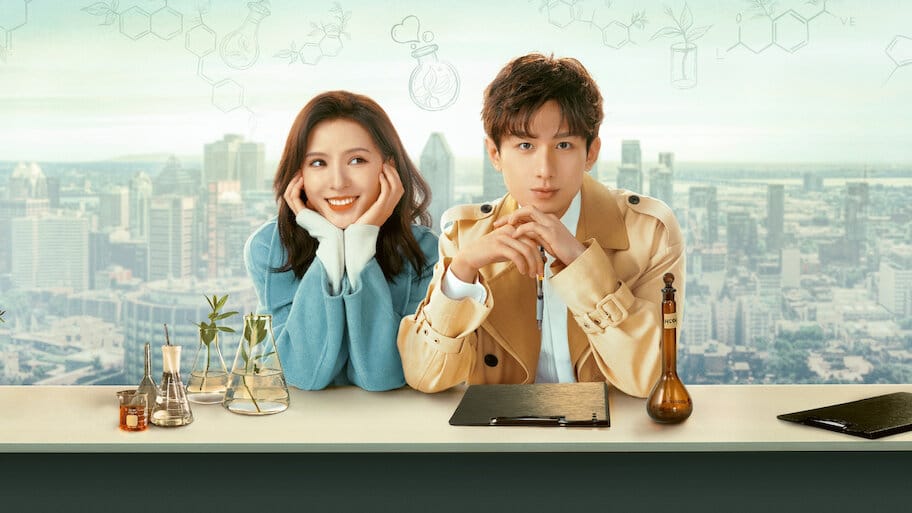 South Wind Knows backdrop