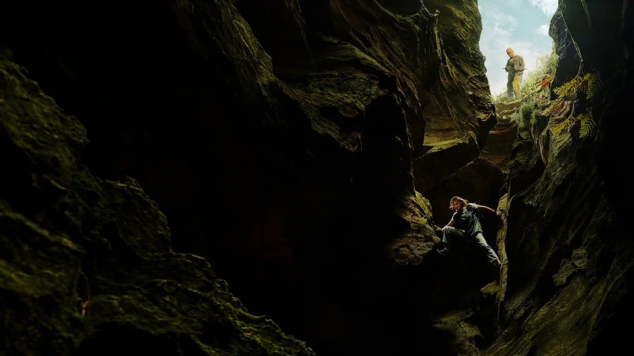 Apex backdrop