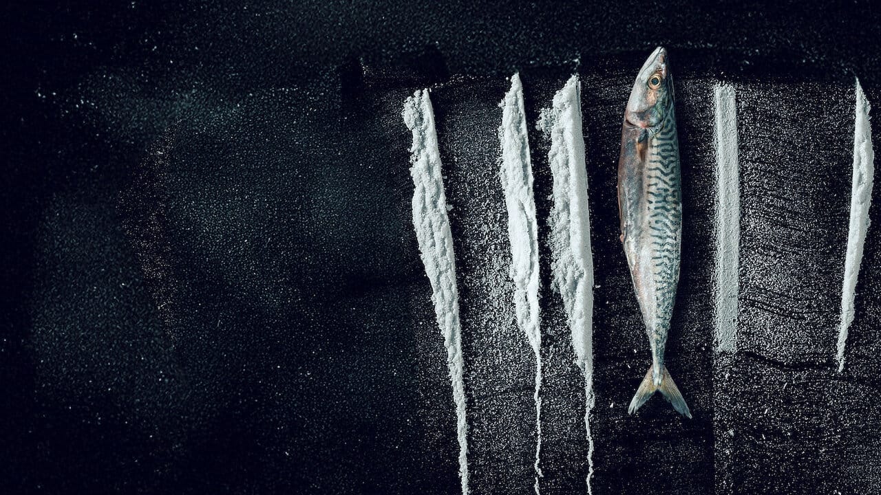 Turn of the Tide: The Surreal Story of Rabo de Peixe backdrop