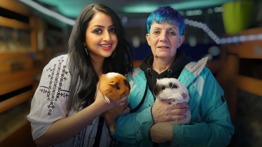 The Keepers of the Pigs backdrop