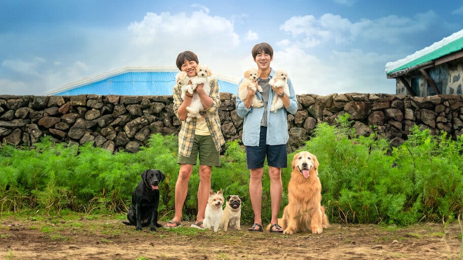 My Heart Puppy backdrop