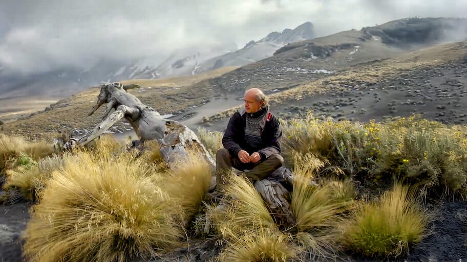 One Hundred Years with Juan Rulfo backdrop