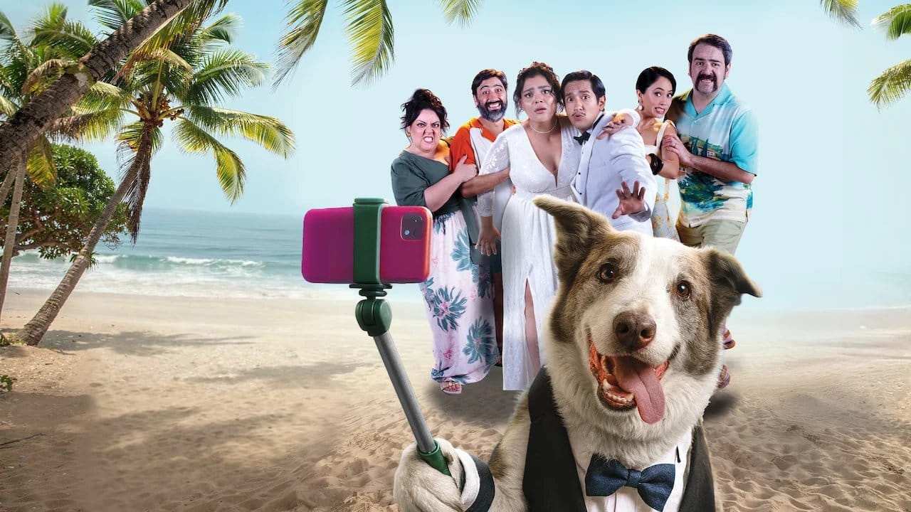 The Trip 8 backdrop