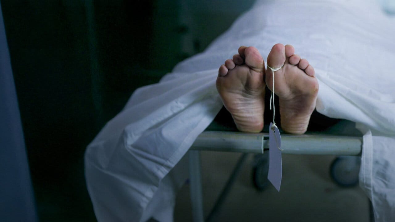 Bloodline Detectives backdrop