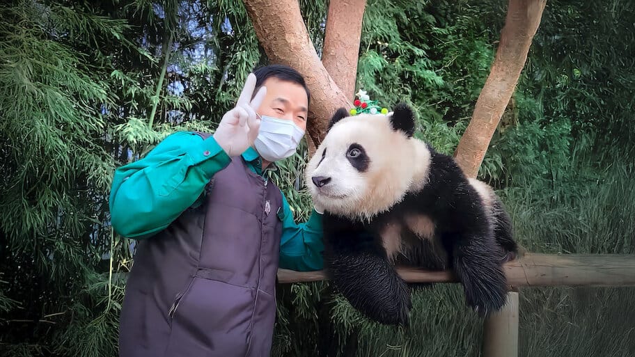 TV Show Fu Bao & Grandpa backdrop