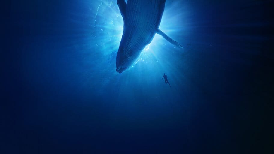 The Whale and I backdrop