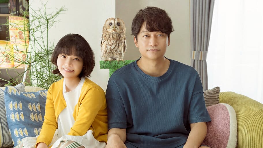 Everything Will be Owlright! backdrop