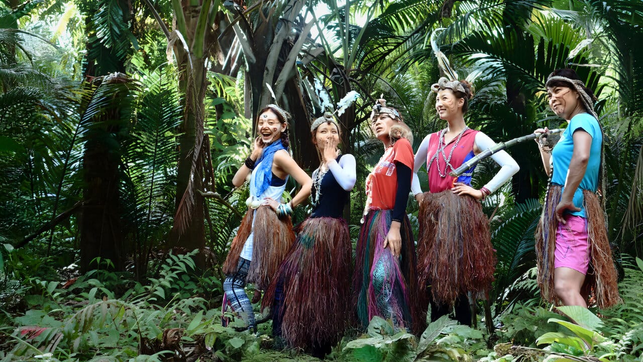 Law of the Jungle W backdrop