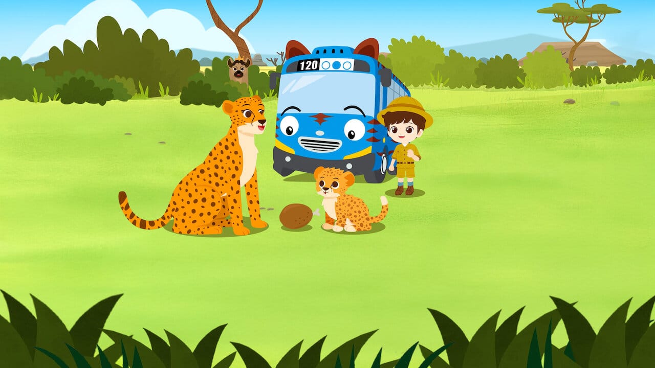 Safari Bus Tayo backdrop