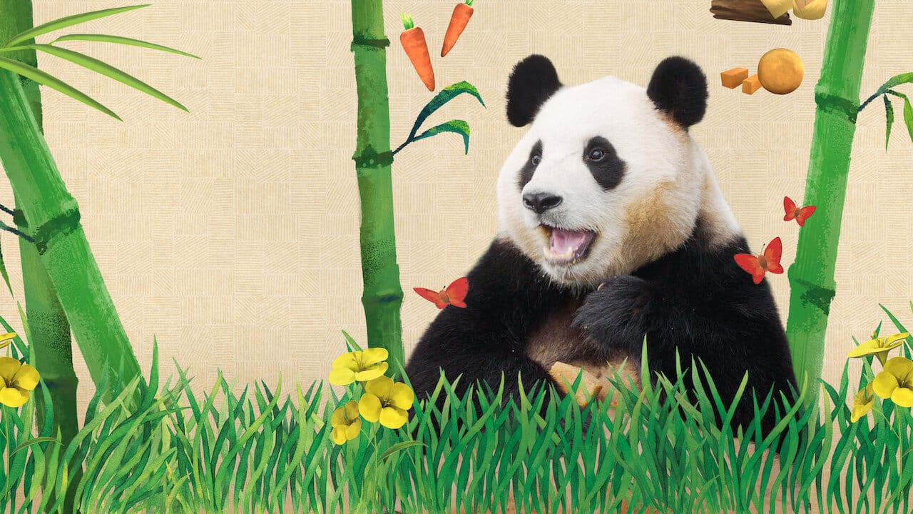 My Dearest Fu Bao backdrop