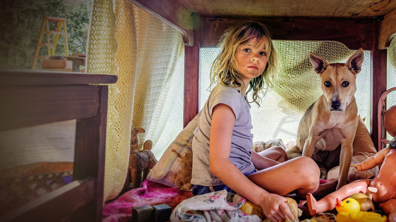 Don't Let's Go to the Dogs Tonight backdrop