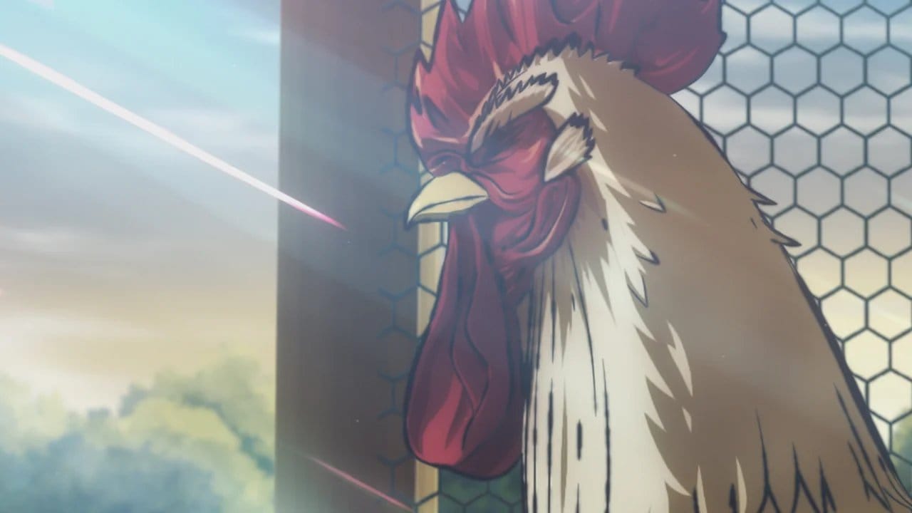 Rooster Fighter backdrop