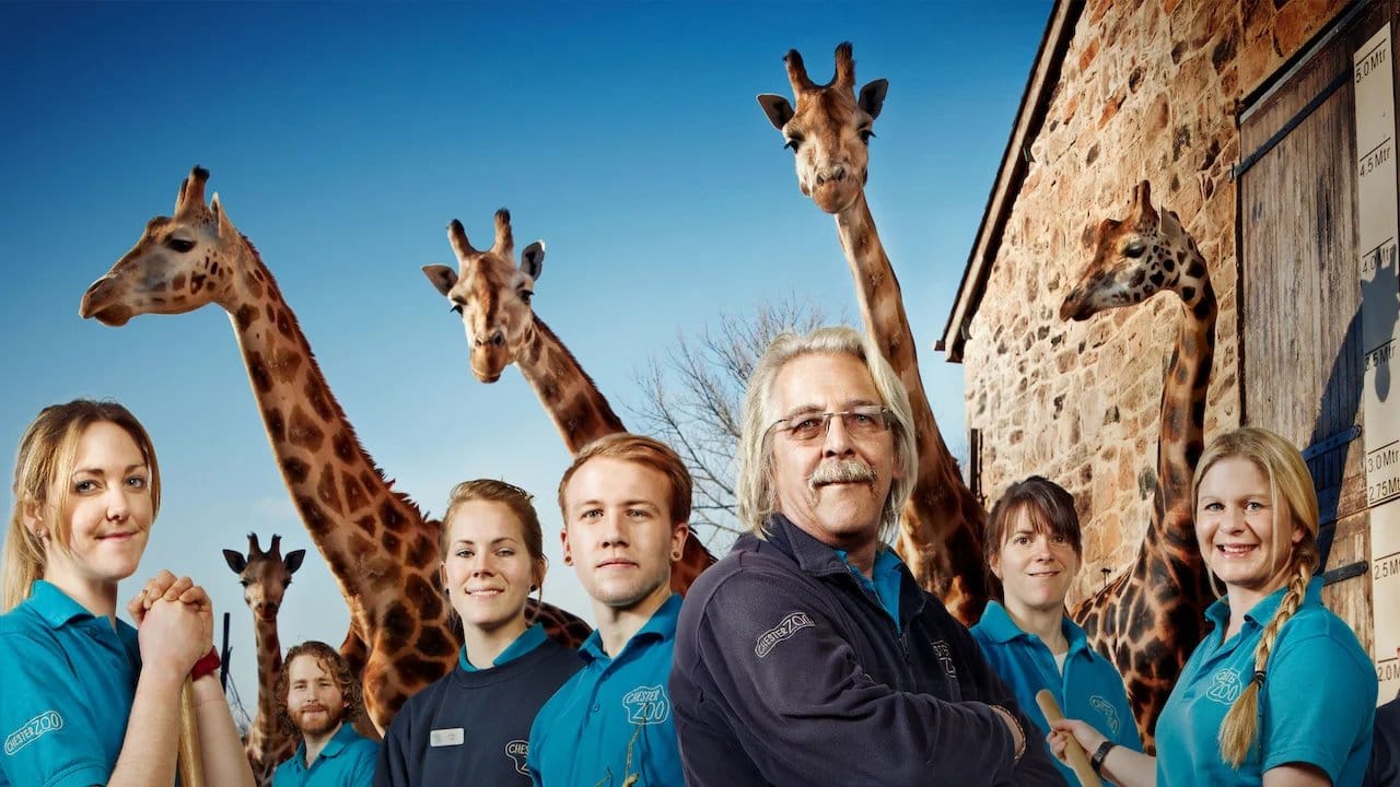Secret Life of the Zoo backdrop