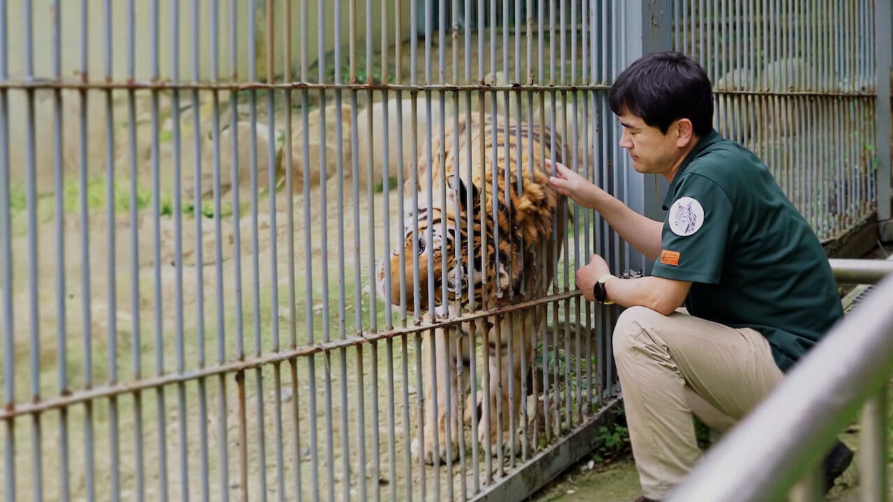 Weird Veterinarian at Weird Zoo backdrop