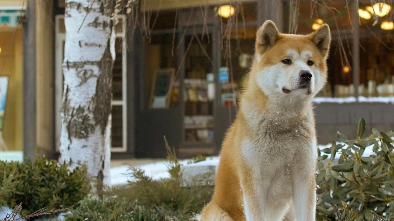Hachi: A Dog's Tale backdrop