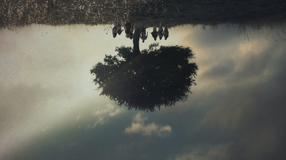 Kingdom of Us backdrop