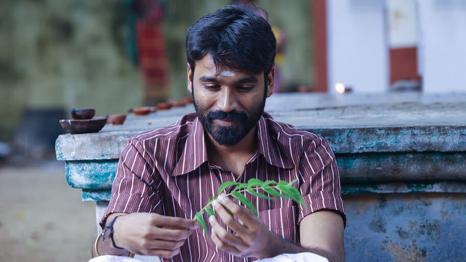 Power Paandi - Netflix availability