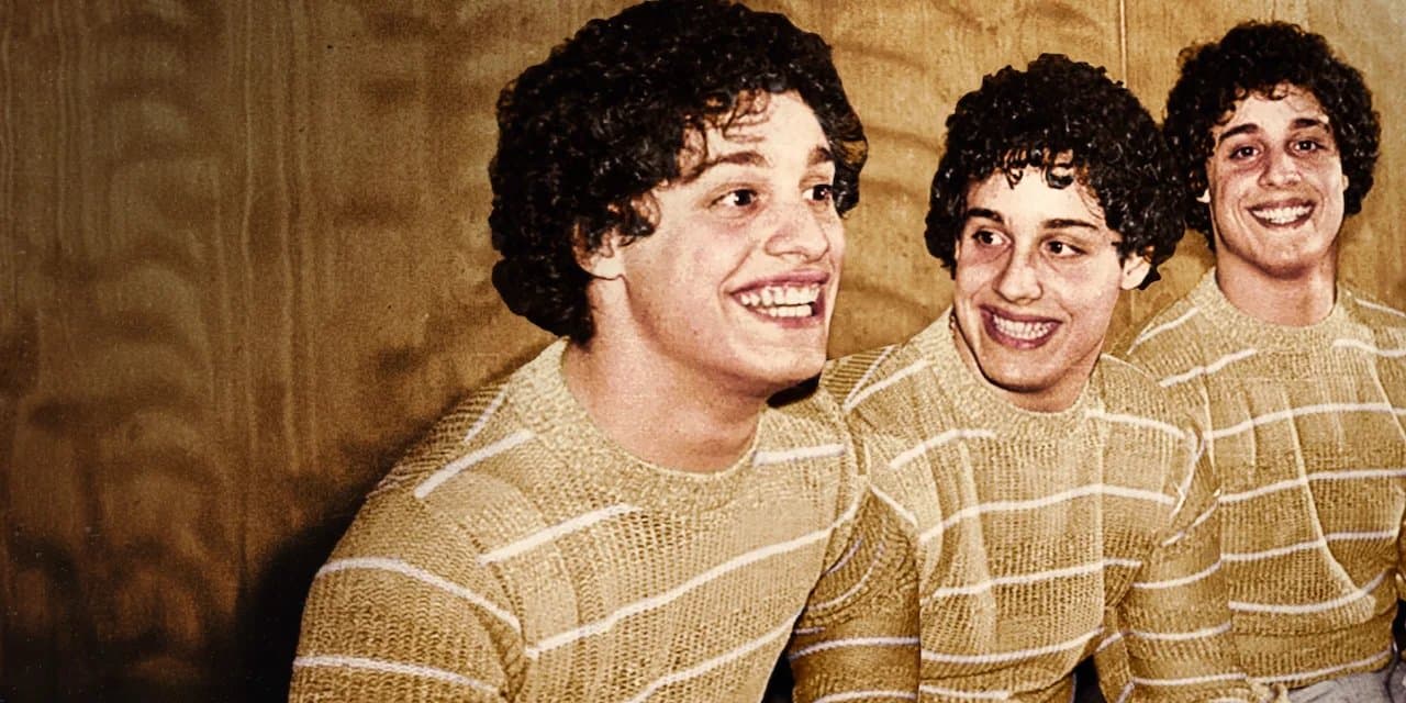 Three Identical Strangers - Netflix availability