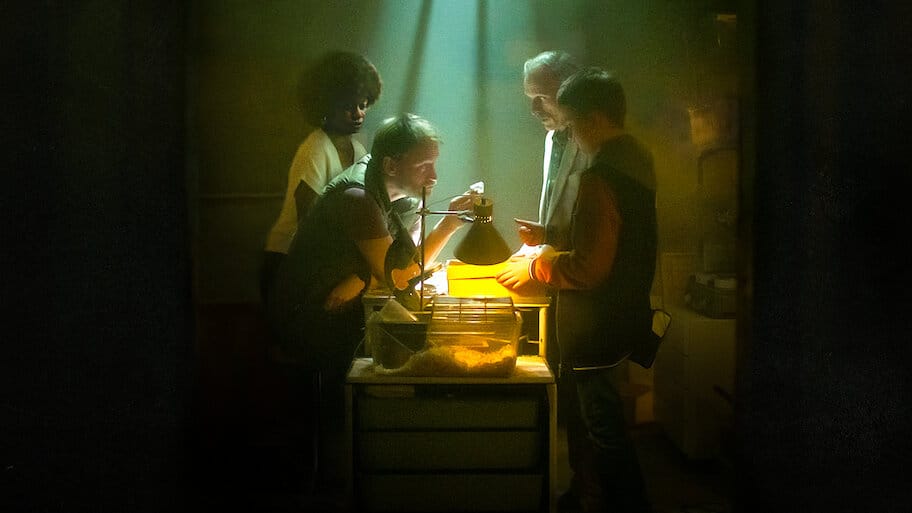 Into the Night backdrop