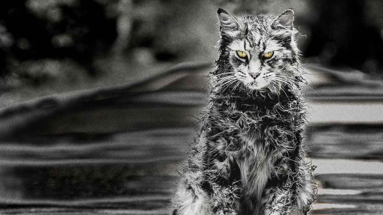 Pet Sematary - on Netflix 2019