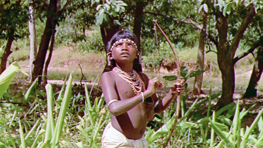 The Flute And The Arrow