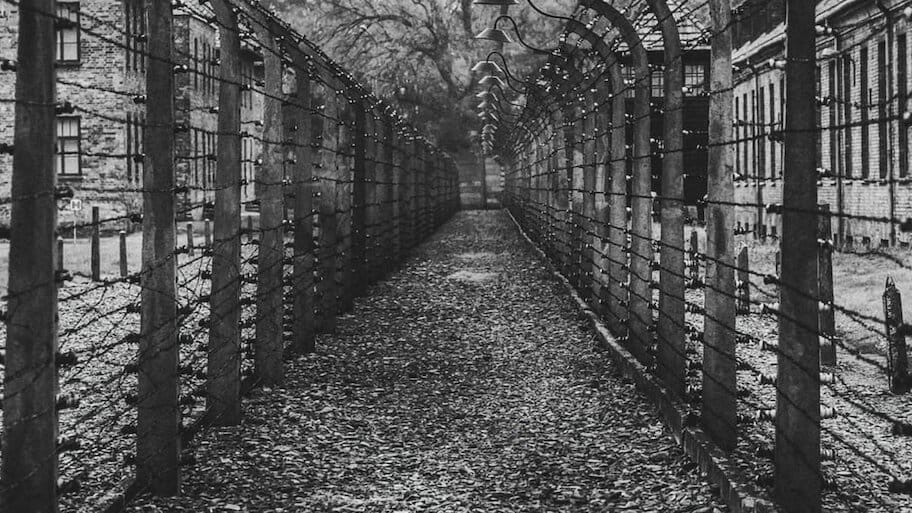 Dachau backdrop