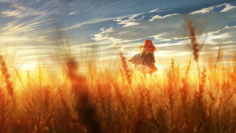 Spice and Wolf: Merchant Meets The Wise Wolf