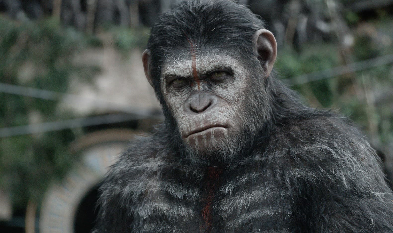 Planet of the Apes - Netflix availability