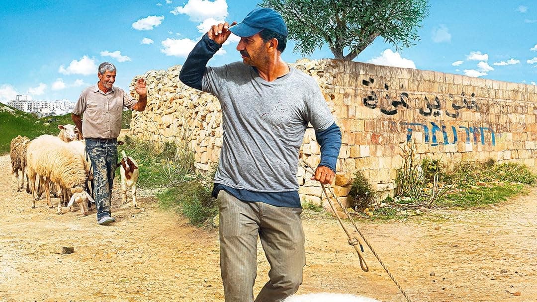 When Pigs Have Wings