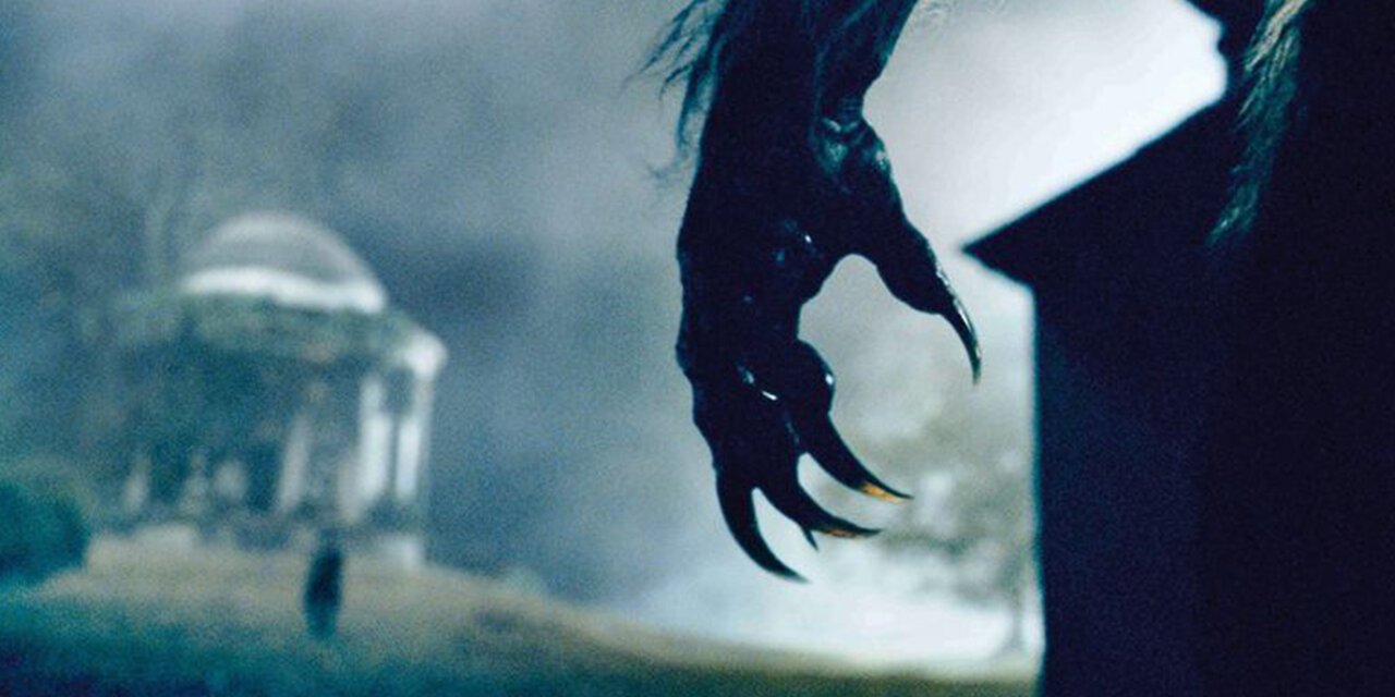 Brotherhood of the Wolf backdrop