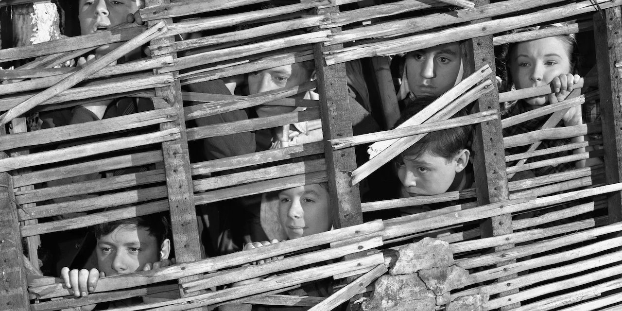 Hue and Cry backdrop