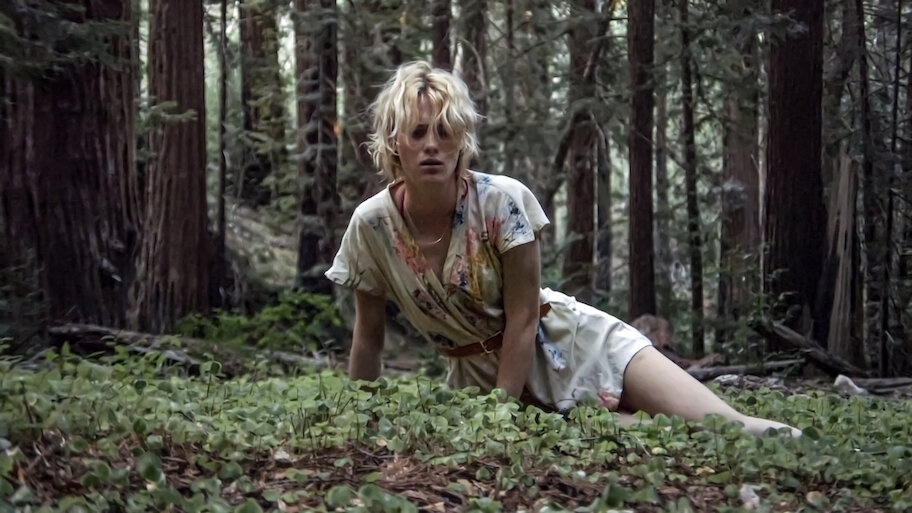 Always Shine backdrop