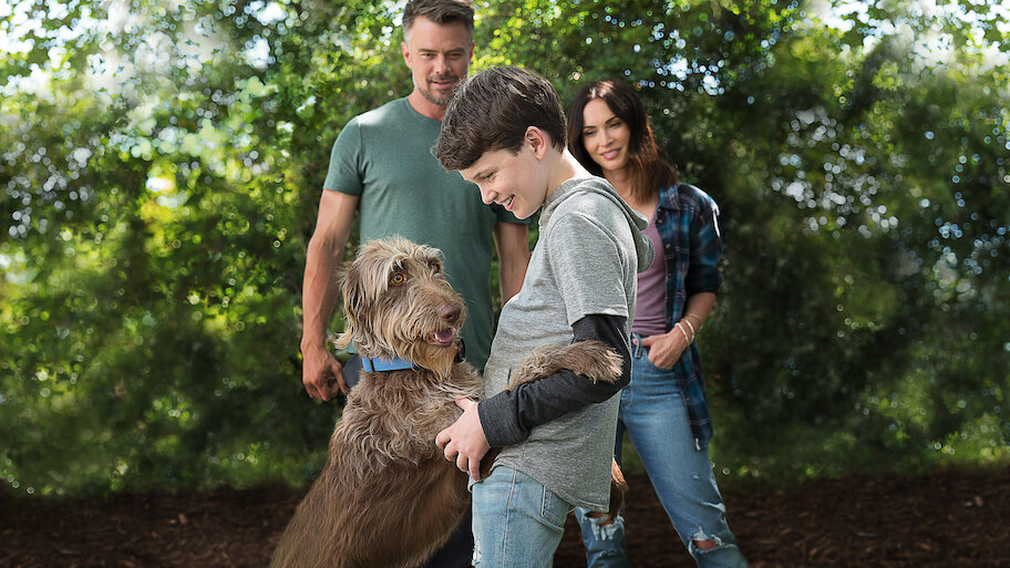 Think Like a Dog backdrop