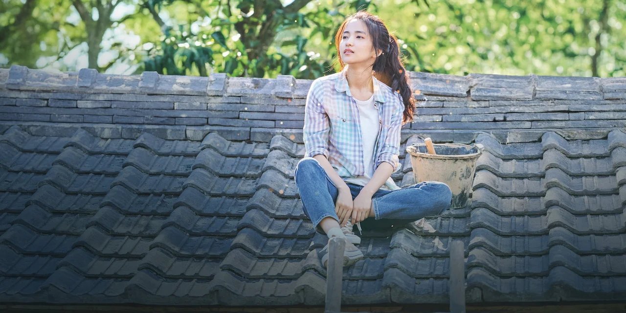 Little Forest backdrop