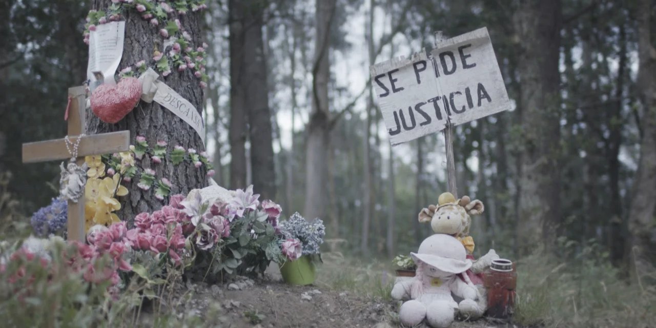 Lo que la verdad esconde: El caso Asunta (Operación Nenúfar) backdrop